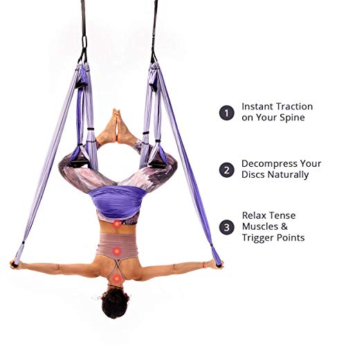 Yogabody Yoga Trapeze Pro – Yoga Inversion Swing With Free Video Series And Pose Chart, Purple #TOP1
