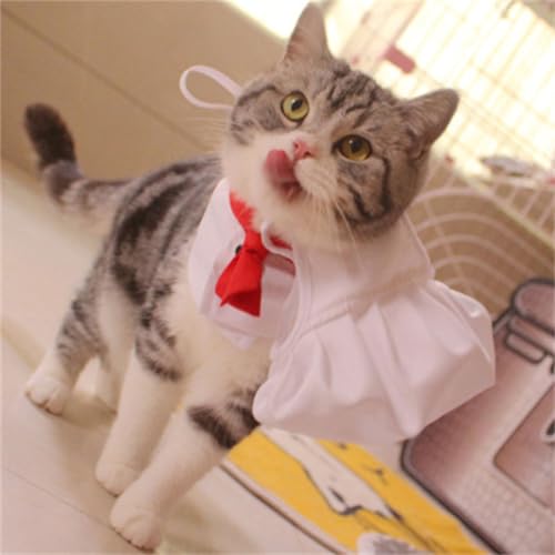 Disfraz de Chef para Perro, Set Sombrero y Collar miniatura 3