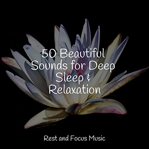Play 50 Beautiful Sounds for Deep Sleep & Relaxation by Best Kids Songs