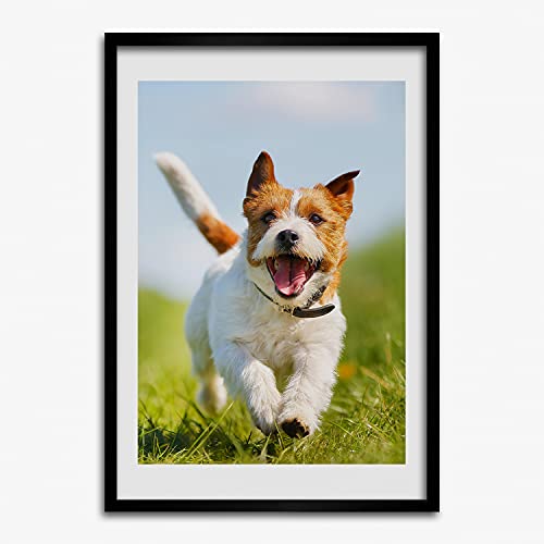 Peinture Jack Russell de qualité supérieure avec cadre en bois MDF Tulup 50x70 cm d'artiste