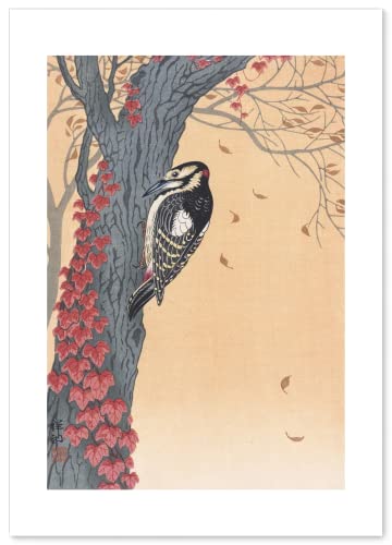 ポスター A3サイズ 絵画 (日本製) 日本画 インテリア アートポスター 壁紙 名画 (小原古邨 アカゲラ)（Amazon）