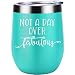 Not a Day Over Fabulous | Coolife 12 oz Stainless Steel Novelty Wine Tumbler Insulated Stemless Funny Sippy Cup with Lid and Straw | Perfect Birthday, Wedding, Christmas, Valentine's Gift for Women