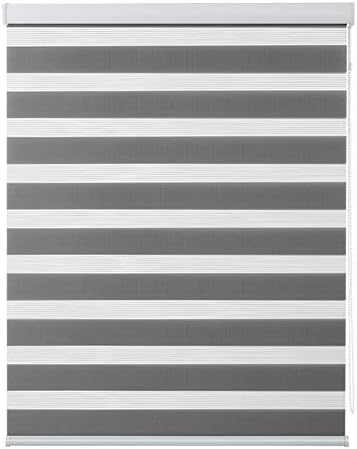 HAIPENG Dual Layer Zebra Roller Shade and Blind for Window Door Office Bedroom Bathroom and Living Room, Light Filtering Day and Night, Easy to Install, Dark Gray (Color : A, Size : 105x150cm)