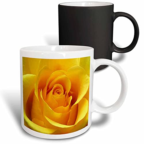 3dRose Yellow Rose 11oz Magic Transforming Mug