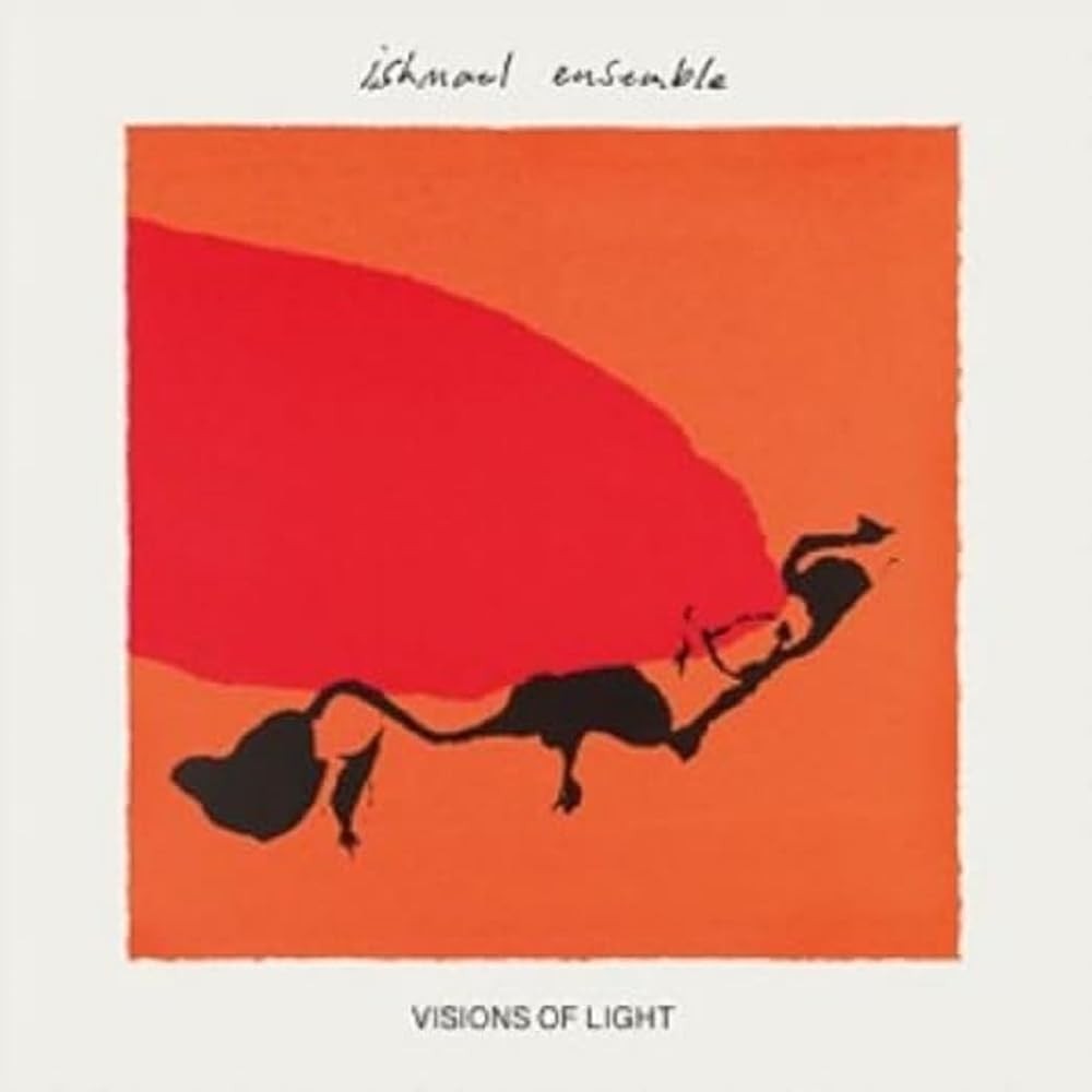 VISIONS OF LIGHT (RED COLOUR) [VINYL]