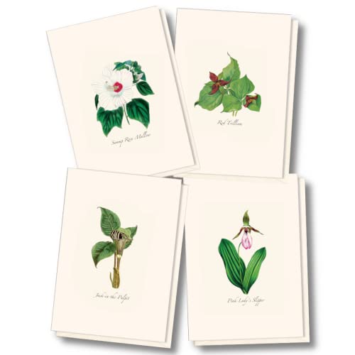 Image of Earth Sky + Water - Woodland Wildflower Assortment Notecard Set - 8 Blank Cards with Envelopes (2 each of 4 styles)