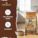 WOLFSBLUT – Wide Plain Adult | Trockenfutter mit natürlichen Zutaten und wertvollen Superfoods für ausgewachsene Hunde. Getreidefreies Alleinfutter ohne Zusatzstoffe im Beutel | 2kg Pferd