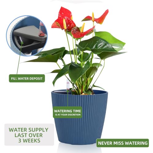 Dexceder 11x10 Self Watering Planters Indoor (2 Pack, Deep Blue) by Dexceder - Used condition - Image 5