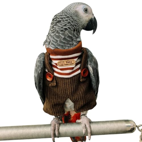 Fantasia de pássaro fofo, acessório para fotos de cosplay de papagaio, pano de pássaro para festas d