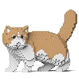 JEKCA Chat Exotic Shorthair Beige