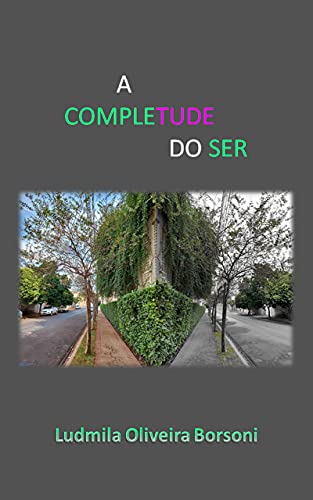 A COMPLETUDE DO SER: Tema: A Rua (Portuguese Edition)
