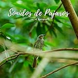Sonidos de Pajaros
