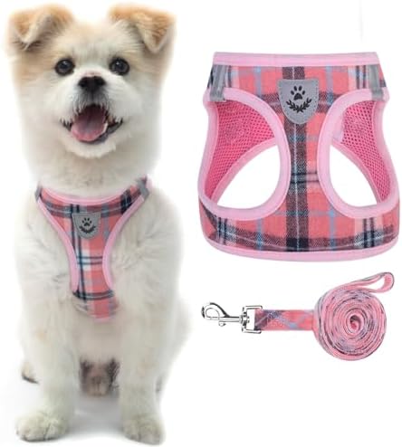 PAWCHIE Dog Harness and Leash Set – No Pull Soft Air Mesh Dog Vest Harness, Adjustable Comfort Padded Harness for Extra-Small/Small Medium Large Dogs Cats