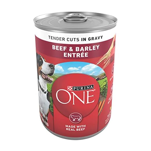 Purina ONE Natural Wet Dog Food Gravy, Tender Cuts in Gravy Beef and Barley Entrée - 13 Ounce (Pack of 12)
