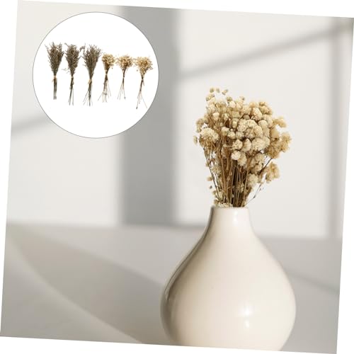Alipis 6pcs Ramo de Flores Secas Elegante Babys Breath miniatura 3