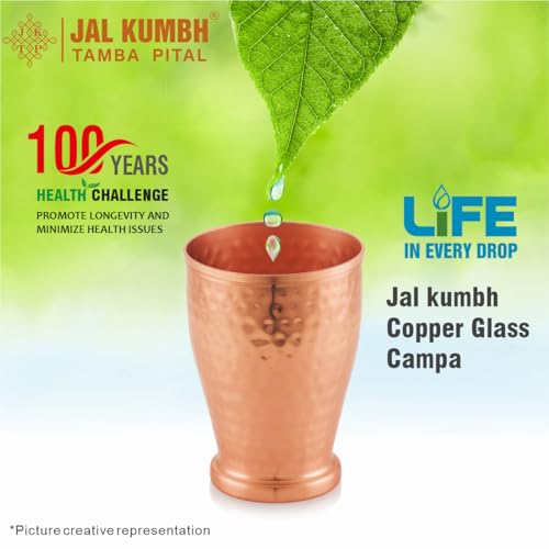 Image of Pure Copper Glasses Campa Water Glass Pure Tamba Glass for Drinking & Serving Water Tumbler-350 ML