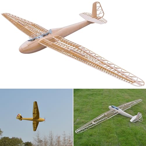 ✅ [DIVERTIMENTO DI MODELLAZIONE PER GRANDI E PICCINI - NON ADATTO A BAMBINI DI ETÀ INFERIORE AI QUATTORDICI ANNI] Gli adolescenti possono assemblare il kit del modello di aereo DFS Crane con l'aiuto degli adulti.
