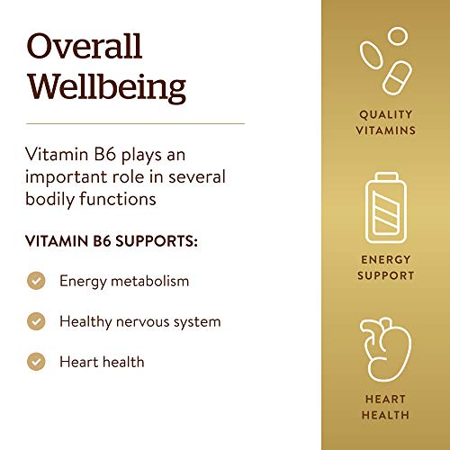 Solgar Vitamin B6 100 Mg, 100 Tablets - Supports Energy Metabolism, Heart Health & Healthy Nervous System - B Complex Supplement - Vegan, Gluten Free, Dairy Free, Kosher - 100 Servings #TOP3