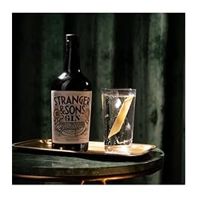 Stranger & Sons Gin, Premium Indian Spirited Aromatic Citrussy Dry Gin – 42.8% ABV, 70cl – Stranger & Sons
