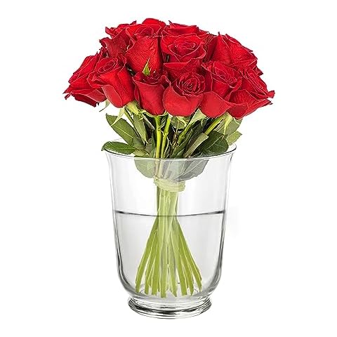 Ledoir 18cm Clear Glass Flower Vase Cover
