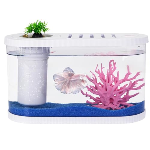 2.2 Gallon Fish Tank Kits,Small Aquarium Starter Kit,Nano Desktop Tank with Quiet Filter, Lid,Color-Changing Light&Decor for Betta Shrimp Guppy Jellyfish Goldfish Beta(12.6 * 7 * 5.6 Inch)
