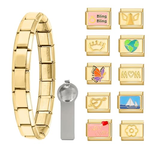 ITingstere Italian Charms Bracelet Sets with 1Pcs Starter Brascelet 9Pcs Charms 9mm Italian Modular Charm Bracelet DIY Module Jewelry Gifts, Stainless Steel, No Gemstone