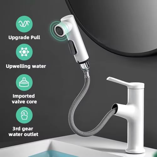 Robinet de lavabo noir extractible à eau chaude et froide