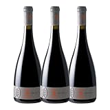 Le Domaine Saint Julien appartient à Mr Maurice Garrassin depuis 1989. Ses enfants ont repris le Domaine, qui s’étend sur 30 ha, en 2001. Soucieux de la qualité des vins, les vignes sont cultivées dans le plus grand respect de l'environnement avec un savoir-faire traditionnel garantissant des crus de caractère.