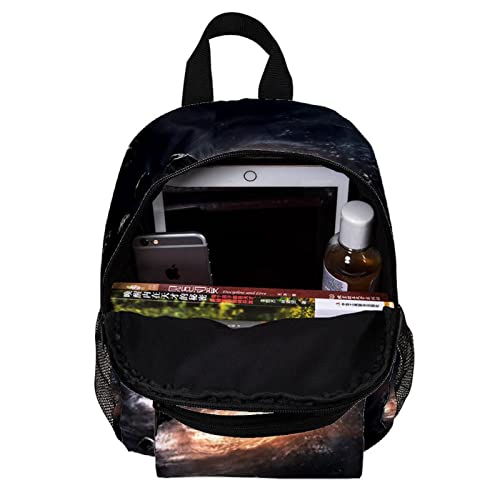 Sac à dos pour filles et garçons petit format dinosaure - 5