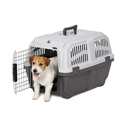 MidWest Homes for Pets Skudo Plastic Carrier, 24-Inch Ideal for Small Dogs with an Adult Weight of 13 - 25 Pounds, Grey