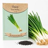 0.25lb Onion - Green Scallion Vegetable Seeds - Heirloom & Non GMO - High Germination - 455 Individually...