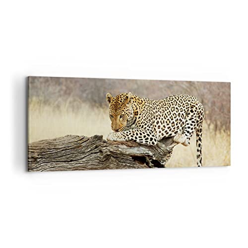 Moderne Impression sur Toile 100x40cm Image Tableau Decoration Murale Afrique léopard chat Safari Tableaux Decoratifs Muraux Chambre Panoramique Deco Cadre...
