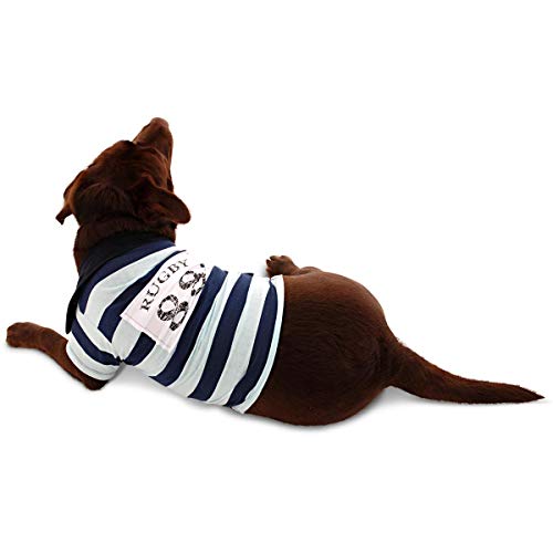 Fantasia Camisa Pollo Listra Azul - Super Pet M