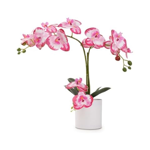 ucky Fake Orchid Pink, Butterfly Orchid，Artificial Flowers Pink, 21 Inch Orchid Bonsai, Realistic Plastic Flower, Fake Flowers, for Home Table and Cabinet Decoration, Party and Wedding Decor Flowers Cover