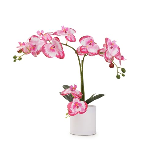 ucky Fake Orchid Pink Butterfly Orchid Artificial Flowers Pink 15 Inch Orchid Bonsai Realistic Plastic Flower Fake Flowers for Home Table and Cabinet Decoration Party and Wedding Decor Flowers