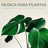 Experiences In Music