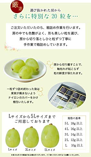 はちやフルーツ シャインマスカット ジュエルセレクション 岡山県産 特秀 5L 20粒 葡萄 ブドウ の商品画像 4