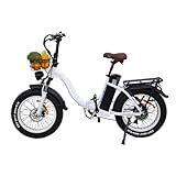 20' x 4.0 Bicicleta Electrica Plegable, Batería Extraíble de 48V 15Ah, Bicicleta de Montaña con Fat Tire, 25 km/h Bici Electrica, Autonomía 40-110km(PAS), Ebike Hombres Mujeres con Soporte USB
