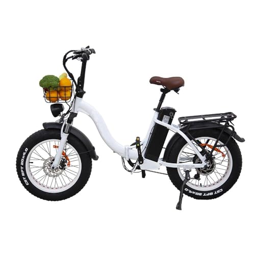 Traotay 14" Vélo électrique pliable, vélo électrique adulte 36 V 9 Ah batterie au lithium, vitesse maximale 25 km/h, jusqu'à 30 – 40 km, vélo électrique homme femme, vélo assisté