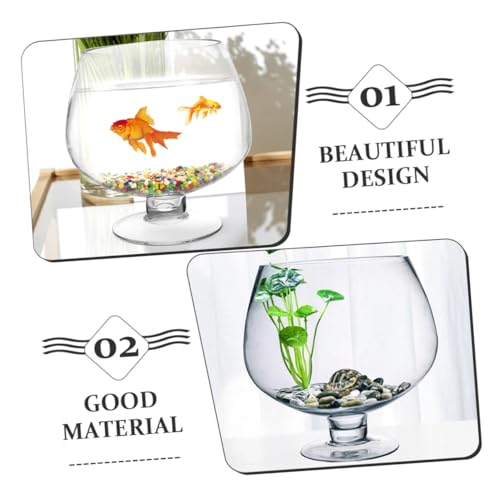 Aquarium verre transparent décoratif de table design - 4