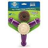 PetSafe Busy Buddy Jack - Keeps Dog Busy - Includes Treats Refill - Treat Holding Dog Toy - Helps Clean Teeth - Durable Rubber - Strong Chewers - Dishwasher Safe - Large - Purple