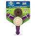 PetSafe Busy Buddy Jack Dog Toy, Large