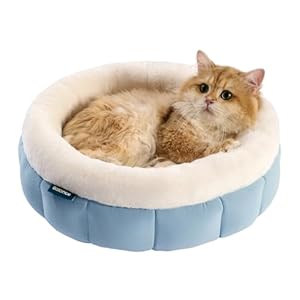 BALANCE Donut Dog Beds for Small Dogs – Round Cat Beds for Indoor Cats, Washable Pet Bed for Puppy and Kitten with Anti-Slip Bottom