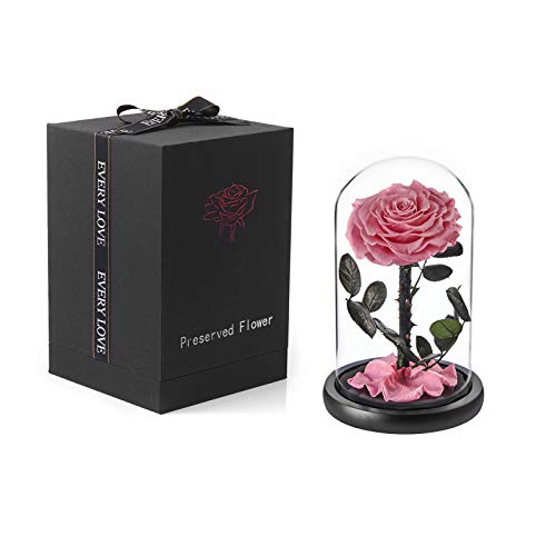 Puto Preserved Real Rose Eternal Rose in Glass Dome Gift for Her Valentine's Day Birthday Mother's Day Christmas Anniversary (Pink)