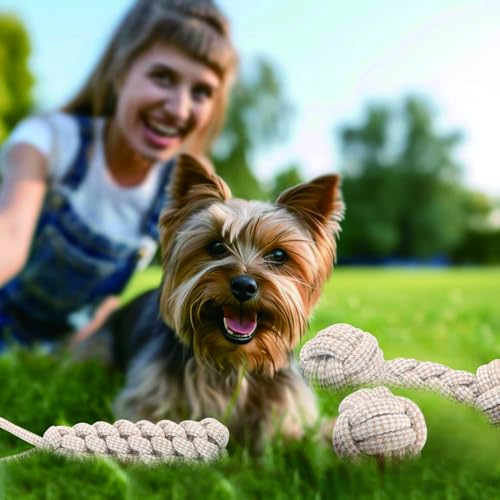 AnNissa Hundespielzeug Seil, 5 Stück Seilspielzeug für Kleine Hunde, Hundespielzeug für Zahnreinigung und Kauen, Geflochtenes Seil für Hunde, Interaktive Geflochtene Baumwolle Hundeseil Knoten