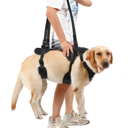 Image of NOYAL Dog Lift Harness for Senior & Injured Pets - Full-Body Support Sling with Breathable Mesh, Front /Rear Leg Assist for Arthritis, Hip Dysplasia & Post-Surgery Recovery (Medium-Large Breeds)