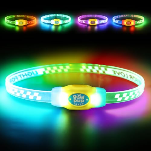LaRoo LED Light Up Dog Collar, Multi-Color Glowing Safety Pet Collar, Rechargeable Night Visibility Collar, Pet Safety Collar Makes Your Beloved Dogs Be Seen at Night for Small Medium Dogs(Blue)