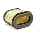 Produktbild Briggs & Stratton Original Luftfilterpatrone 692446