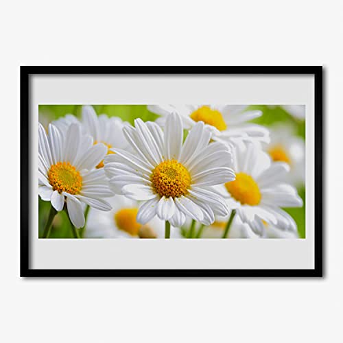 Salon et chambre sublimés par l'affiche encadrée daisy plant nature 70x50cm