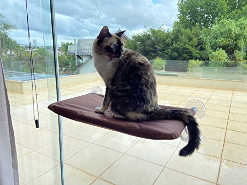 Petlon Cama De Janela Para Gatos Petlon - Marrom
